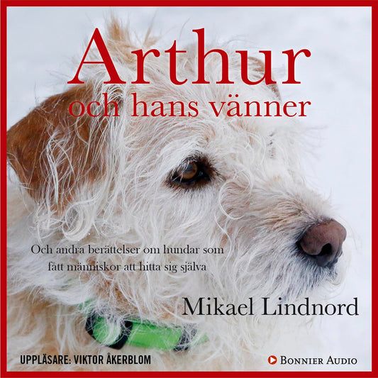 Arthur och hans vänner : och andra berättelser om hundar som fått människor att hitta sig själva – Ljudbok