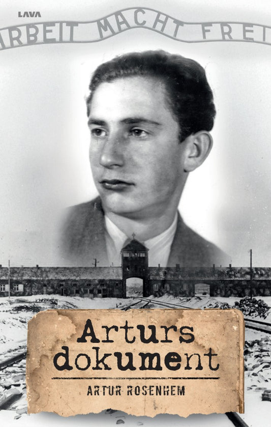 Arturs dokument – E-bok