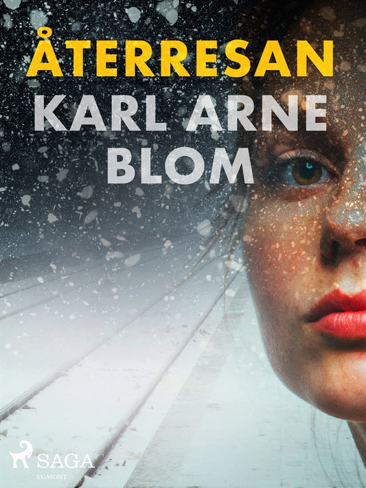 Återresan – E-bok
