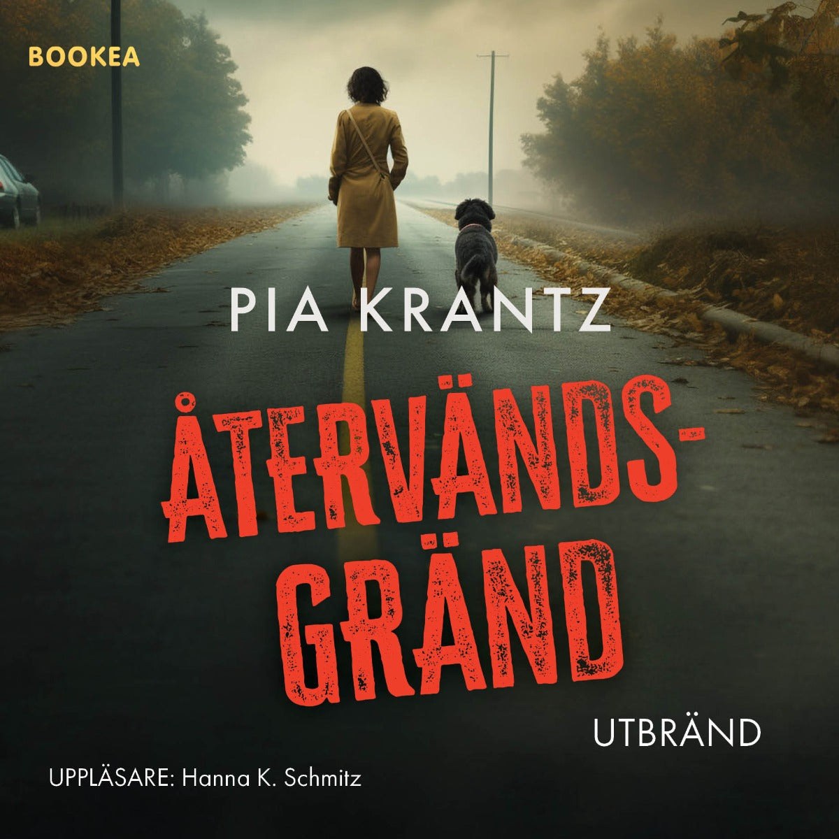 Återvändsgränd – Ljudbok