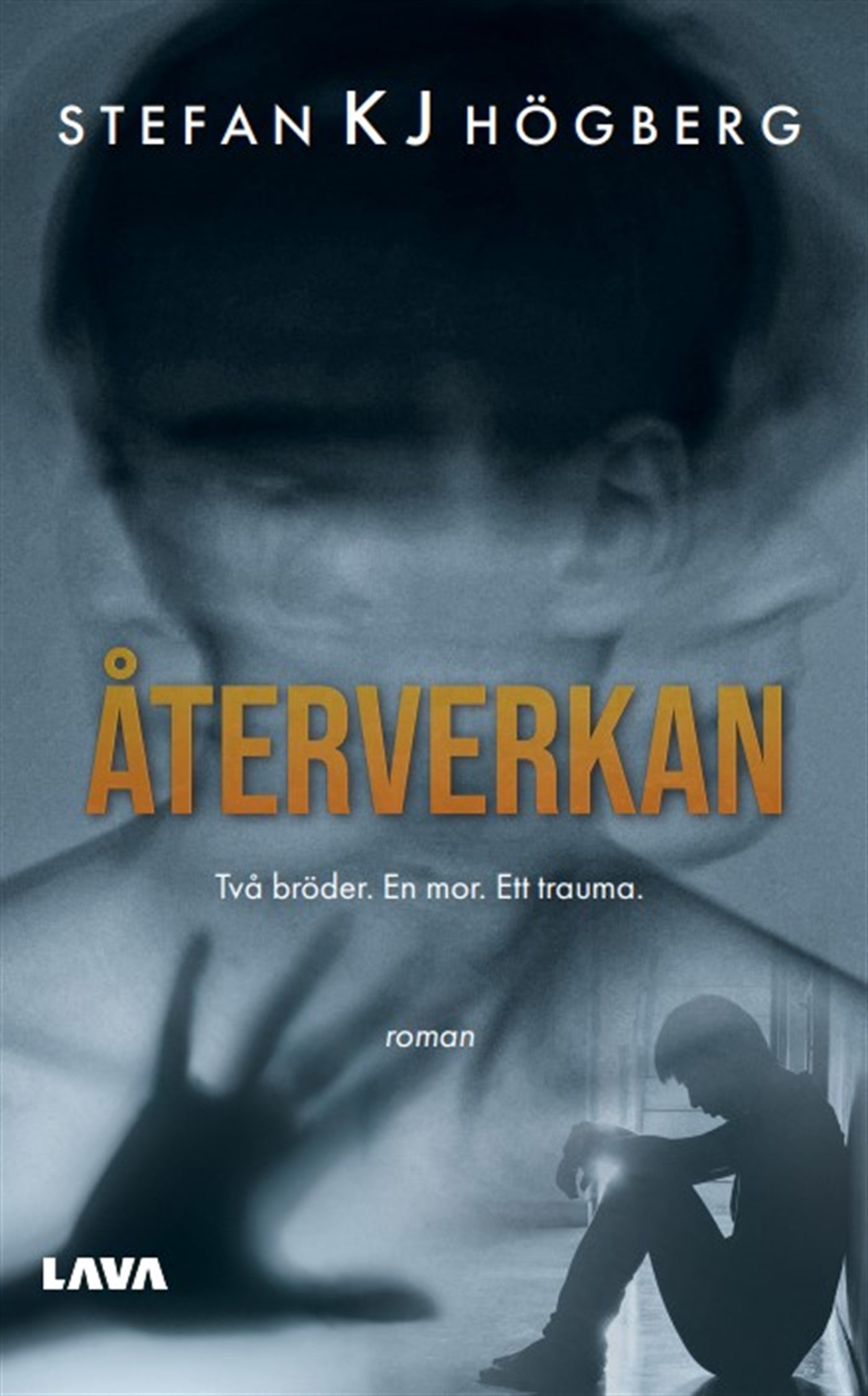 Återverkan – E-bok