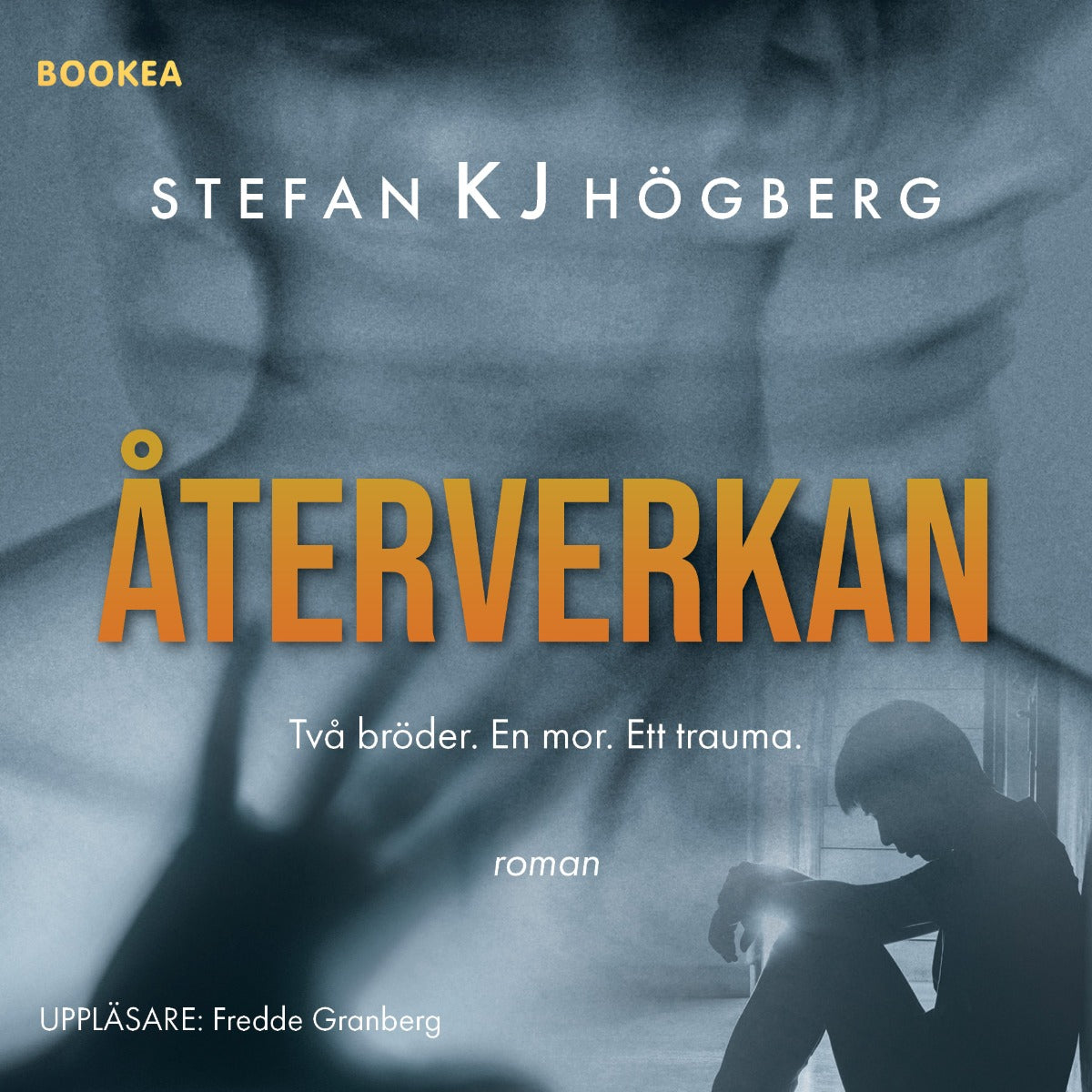 Återverkan – Ljudbok
