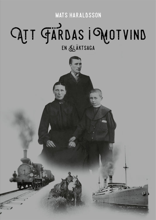 Att färdas i motvind – E-bok