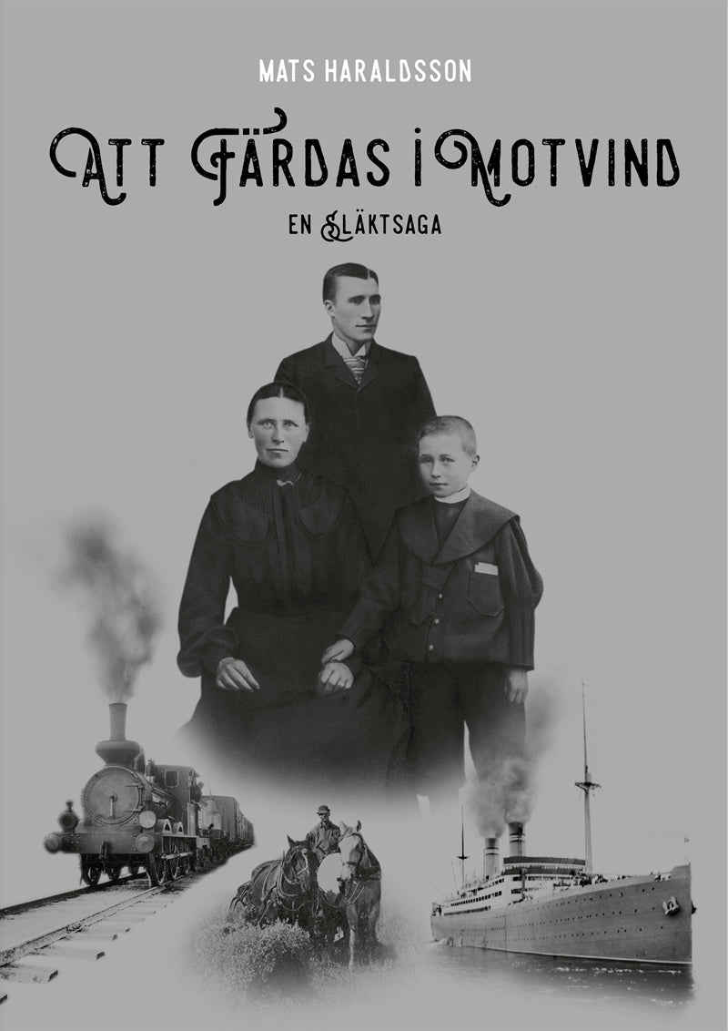Att färdas i motvind – E-bok