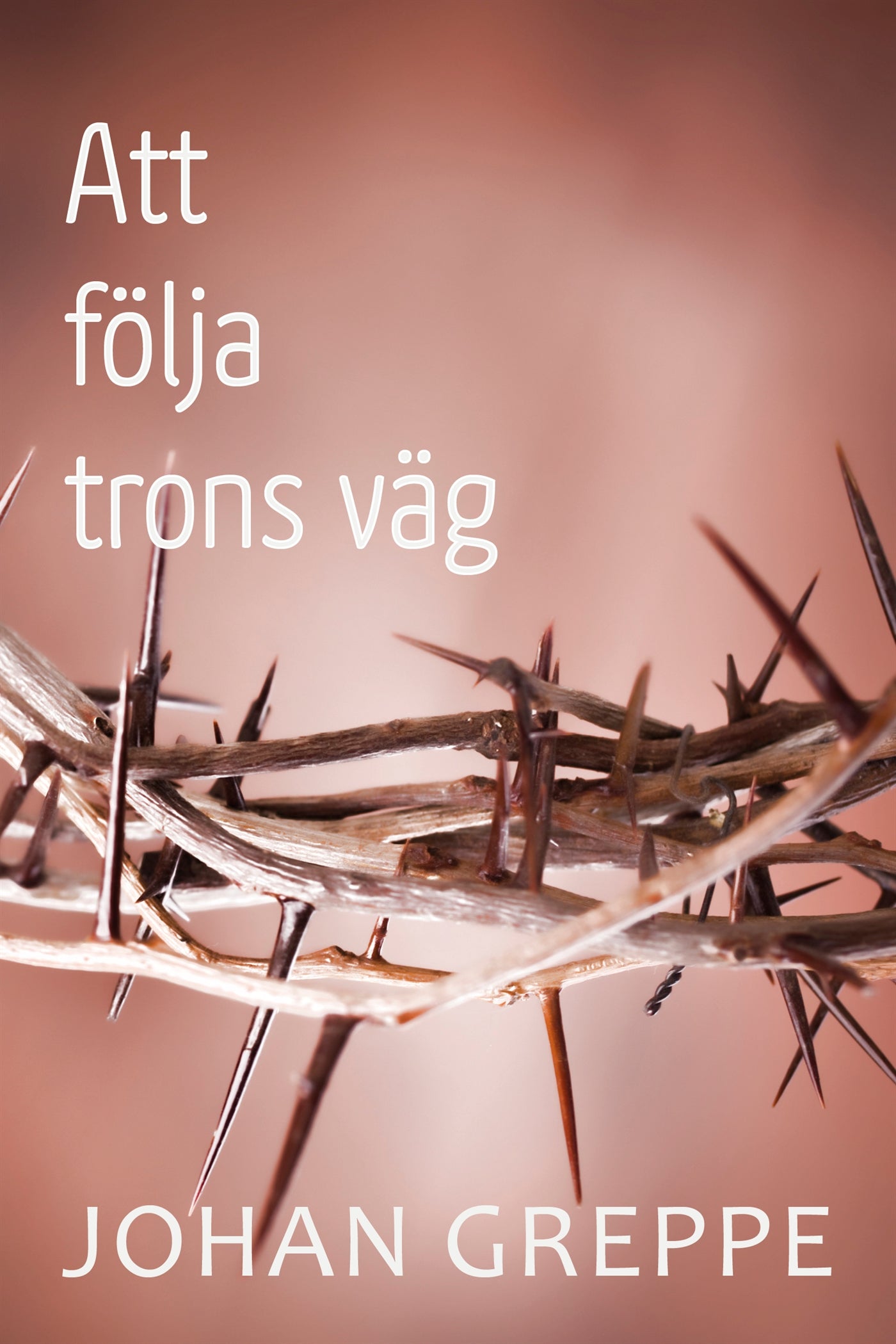 Att följa trons väg – E-bok