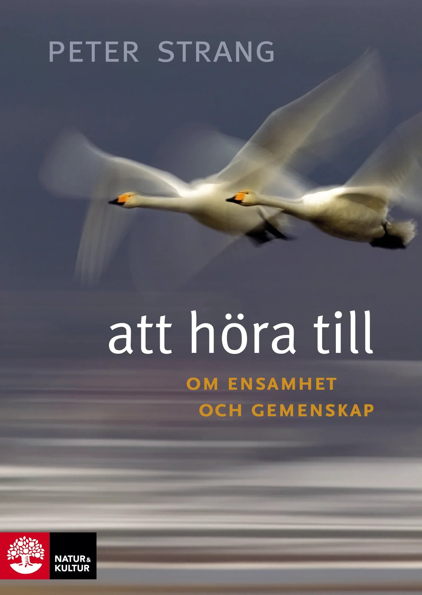 Att höra till : om ensamhet och gemenskap - Digital - Laddas ner