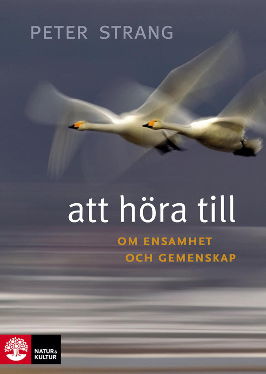 Att höra till : om ensamhet och gemenskap – E-bok