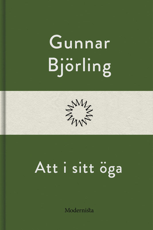 Att i sitt öga – E-bok