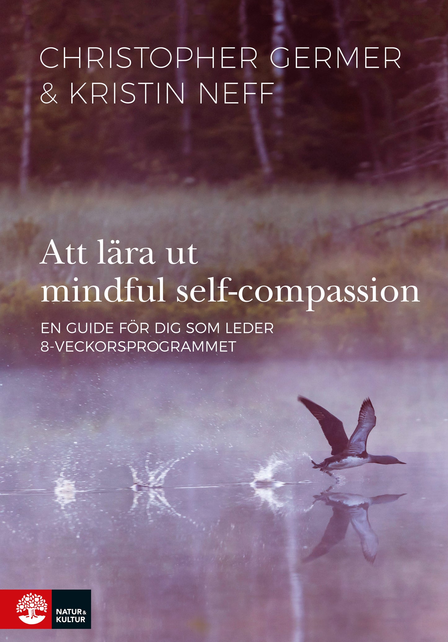 Att lära ut mindful self-compassion : en guide för dig som leder 8-veckorsprogrammet – E-bok