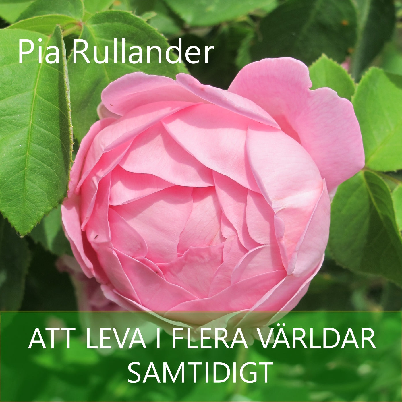 Att leva i flera världar - samtidigt – Ljudbok