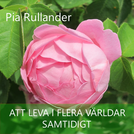Att leva i flera världar - samtidigt – Ljudbok