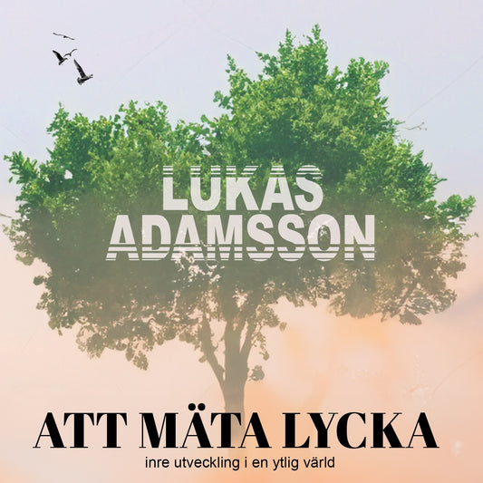 Att mäta lycka: Inre utveckling i en ytlig värld – Ljudbok