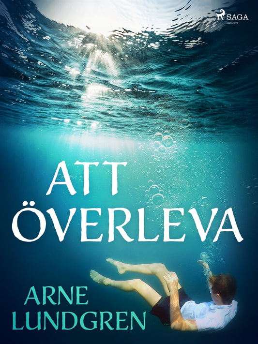Att överleva – E-bok