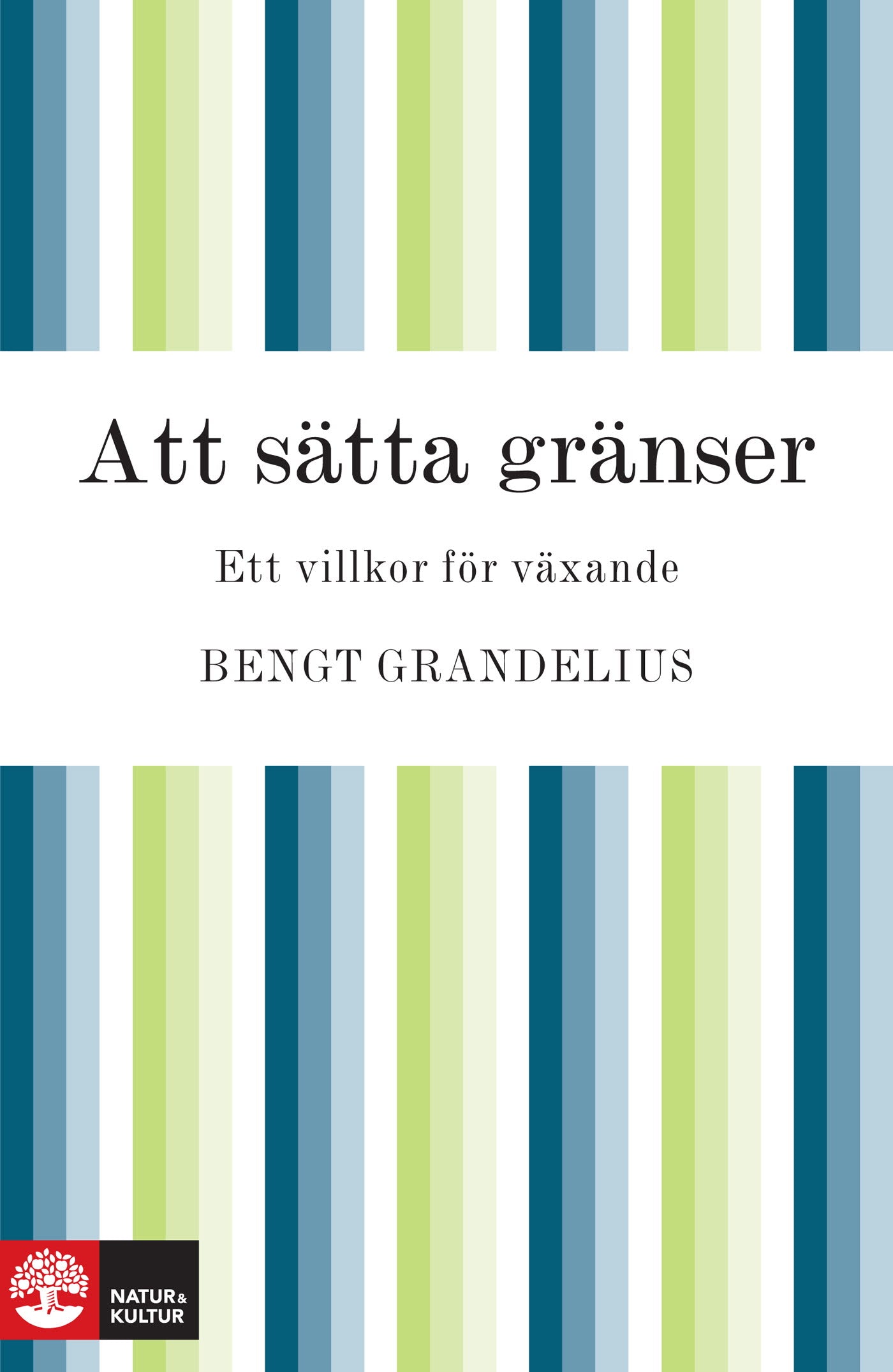 Att sätta gränser – E-bok