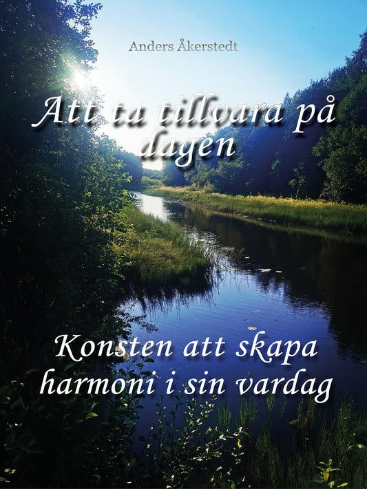 Att ta tillvara på dagen: Konsten att skapa harmoni i sin vardag – E-bok
