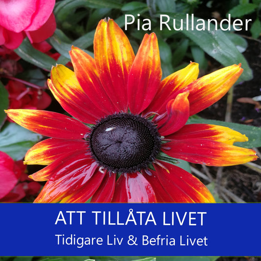 Att tillåta livet - leva. Tidigare Liv & Befria Livet. – Ljudbok