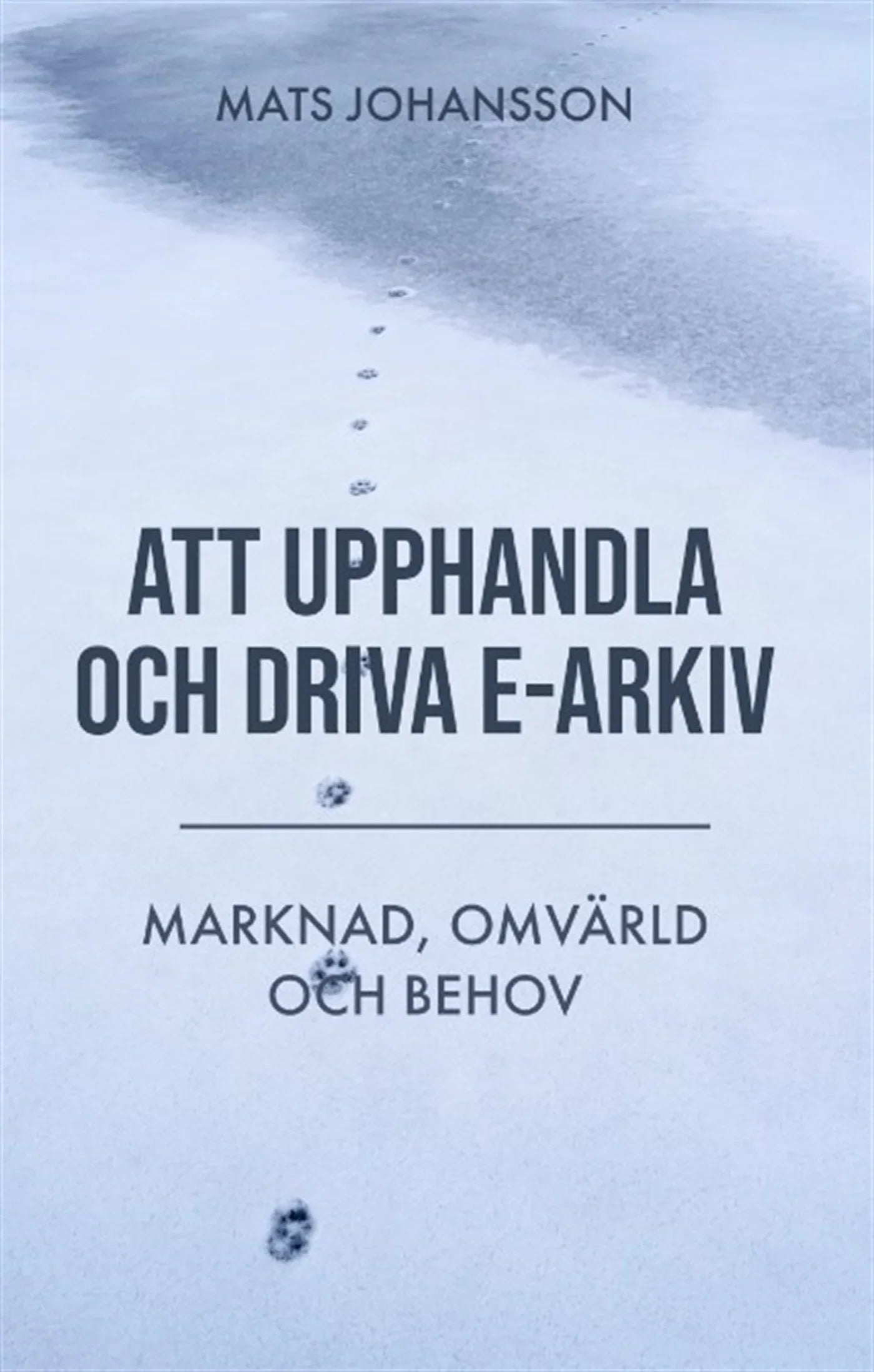 Att upphandla och driva e-arkiv. Marknad, omvärld och behov – E-bok