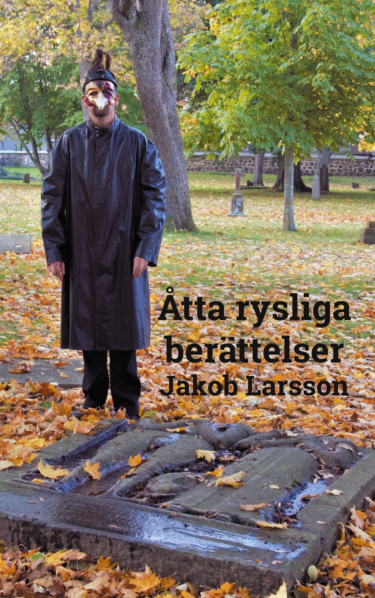 Åtta rysliga berättelser – E-bok