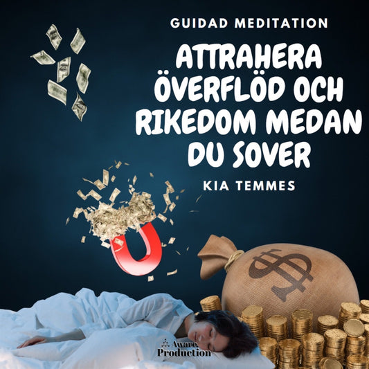 Attrahera överflöd och rikedom medan du sover – Ljudbok