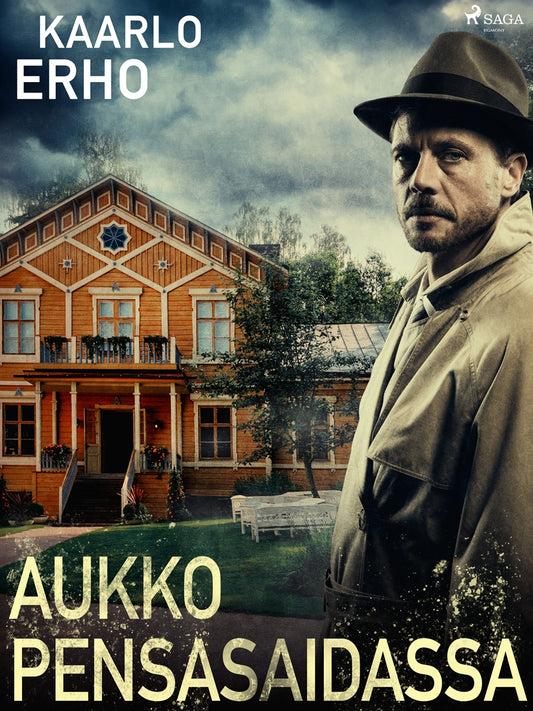 Aukko pensasaidassa – E-bok