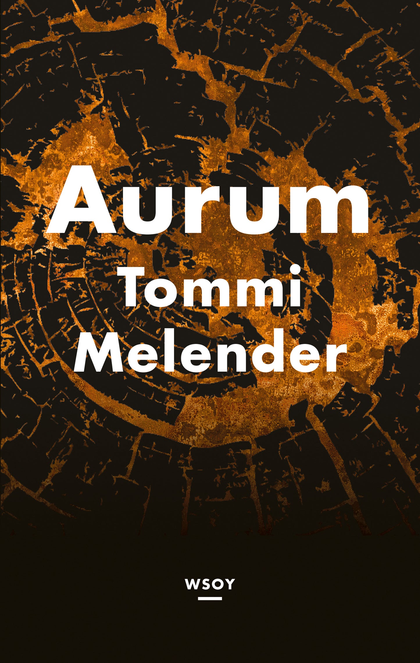 Aurum – E-bok