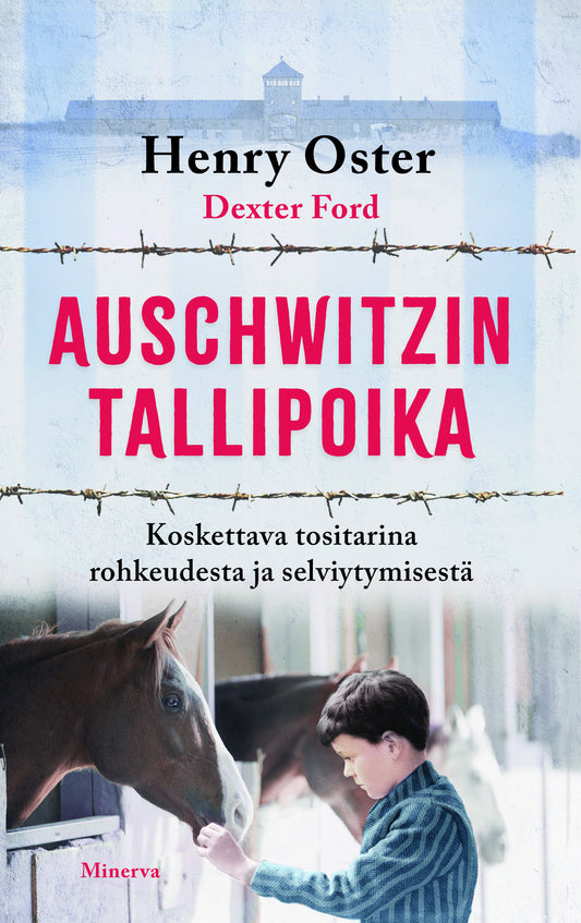 Auschwitzin tallipoika – E-bok