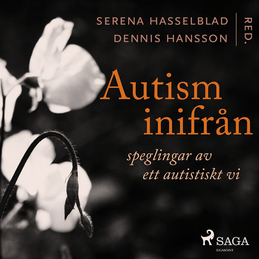 Autism inifrån: Speglingar av ett autistiskt vi – Ljudbok