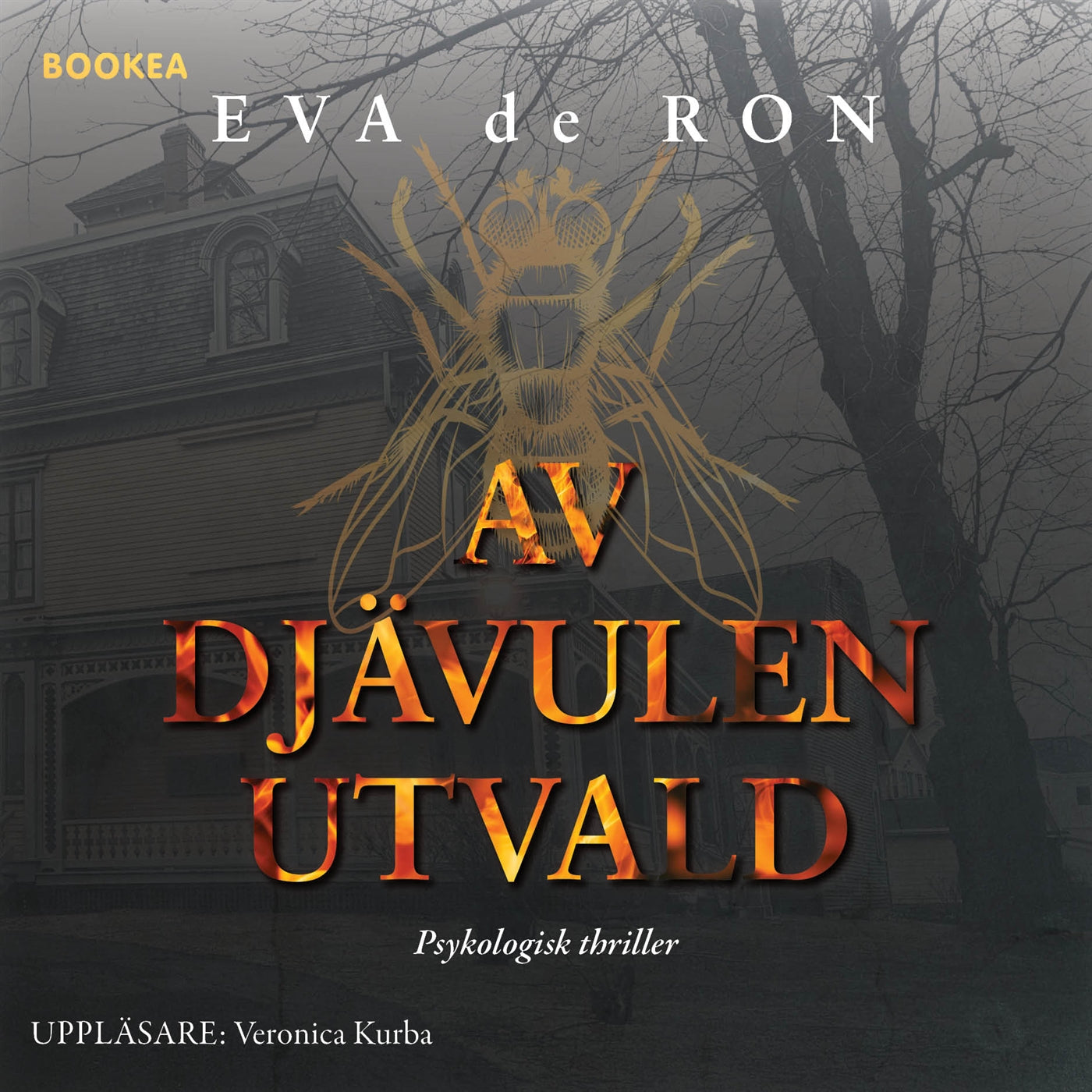 Av djävulen utvald – Ljudbok