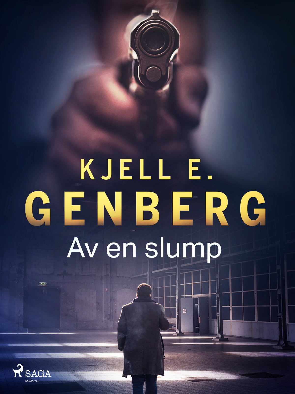 Av en slump – E-bok
