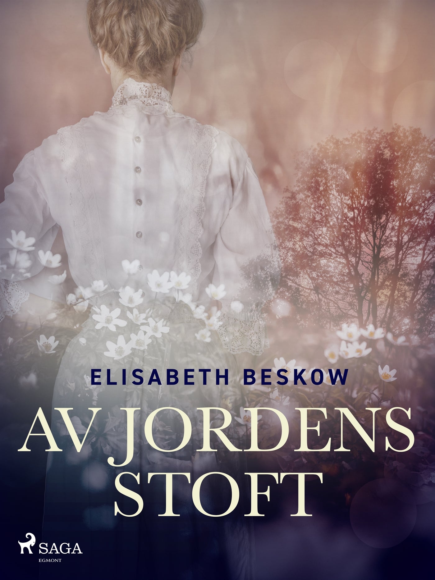 Av jordens stoft – E-bok