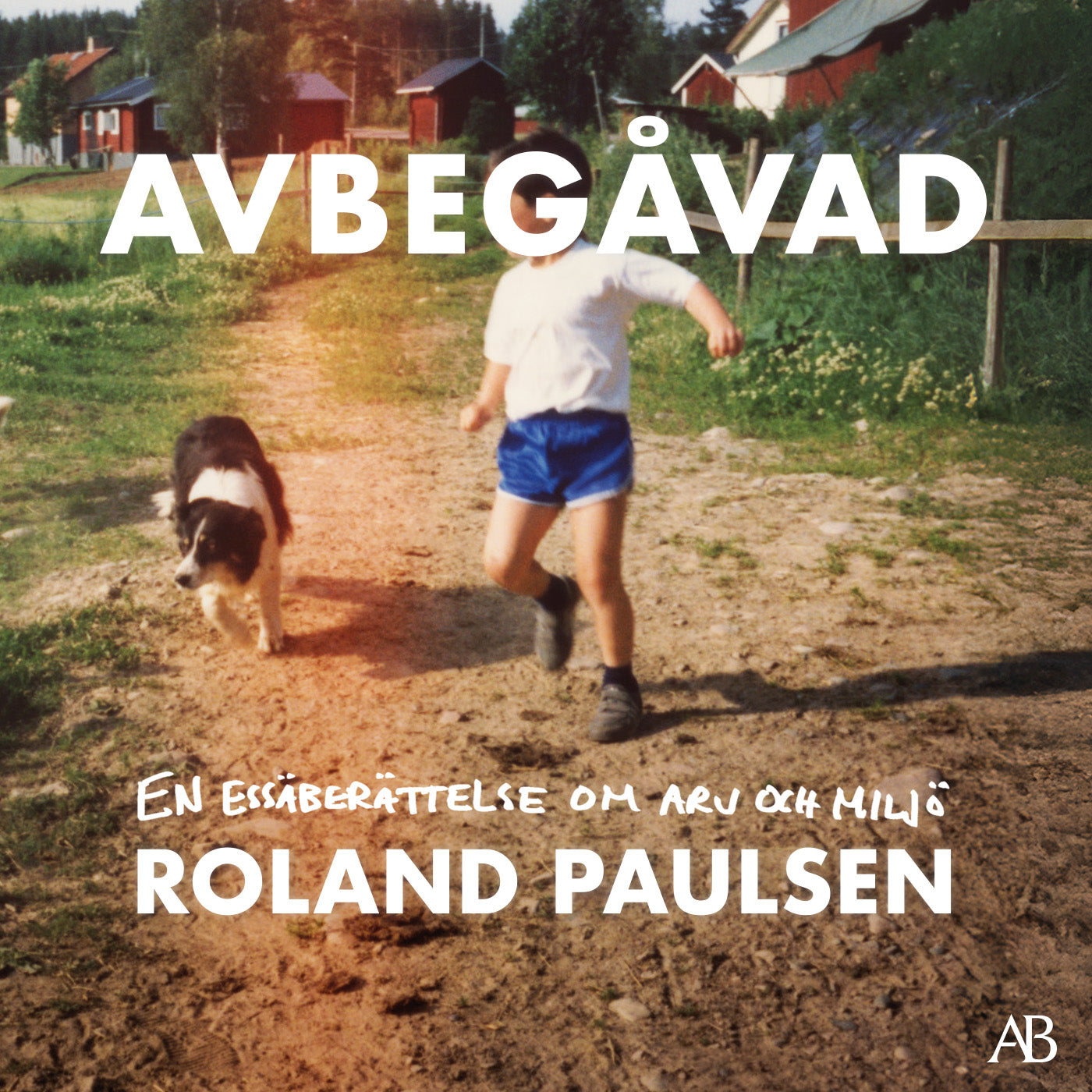 Avbegåvad : en essäberättelse om arv och miljö – Ljudbok