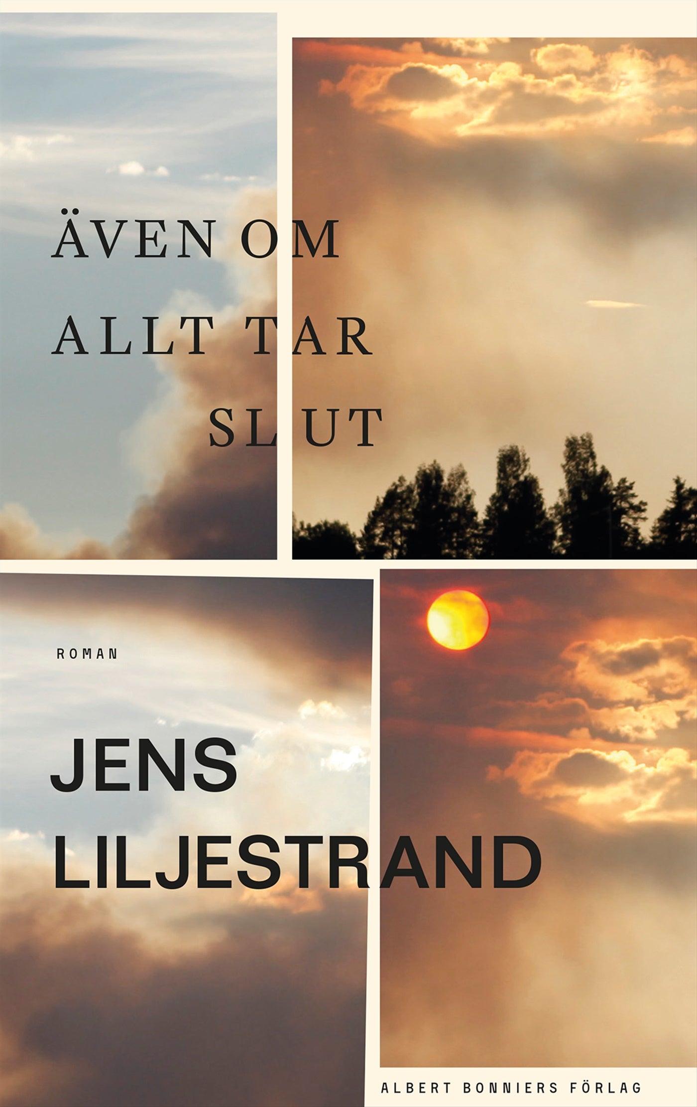 Även om allt tar slut – E-bok