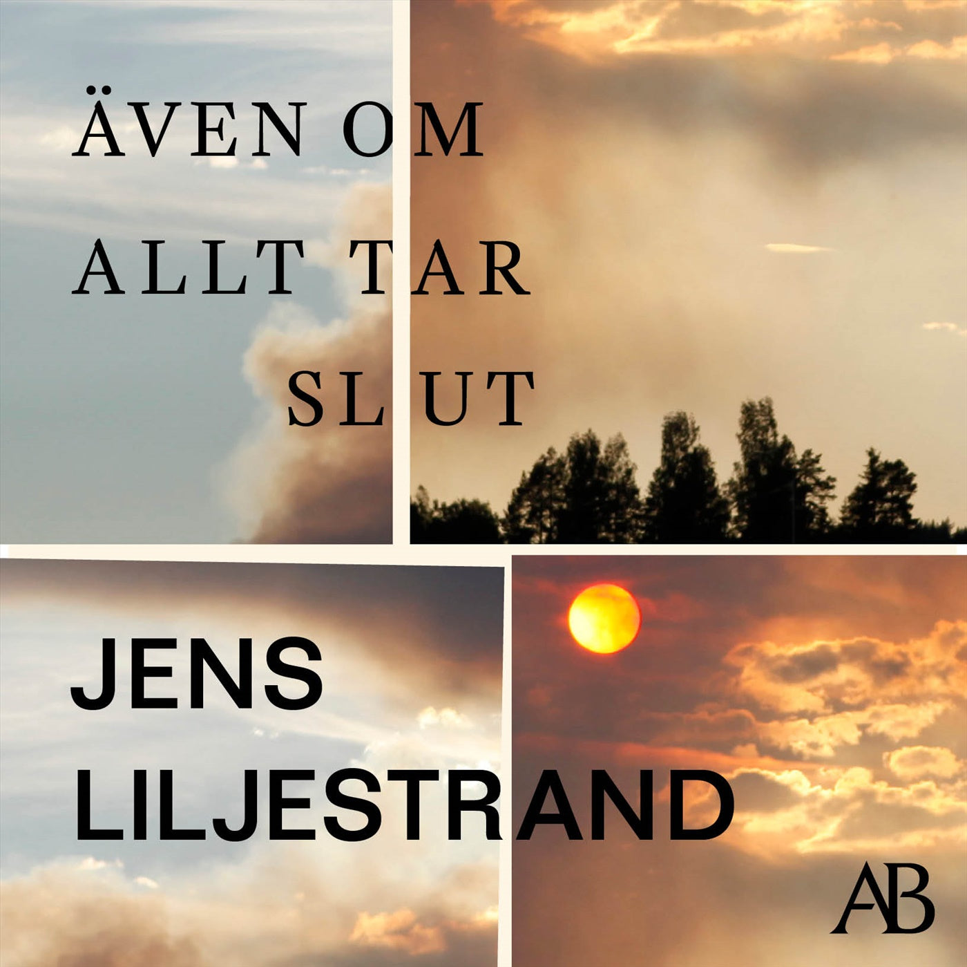 Även om allt tar slut – Ljudbok