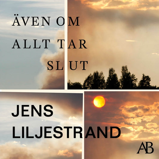 Även om allt tar slut – Ljudbok