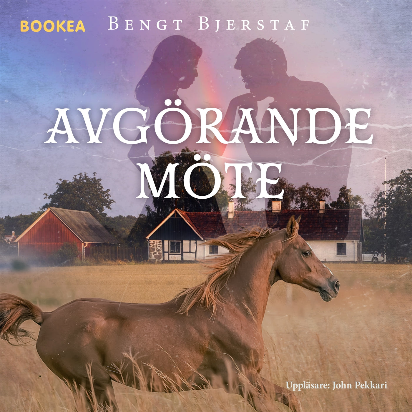 Avgörande möte – Ljudbok