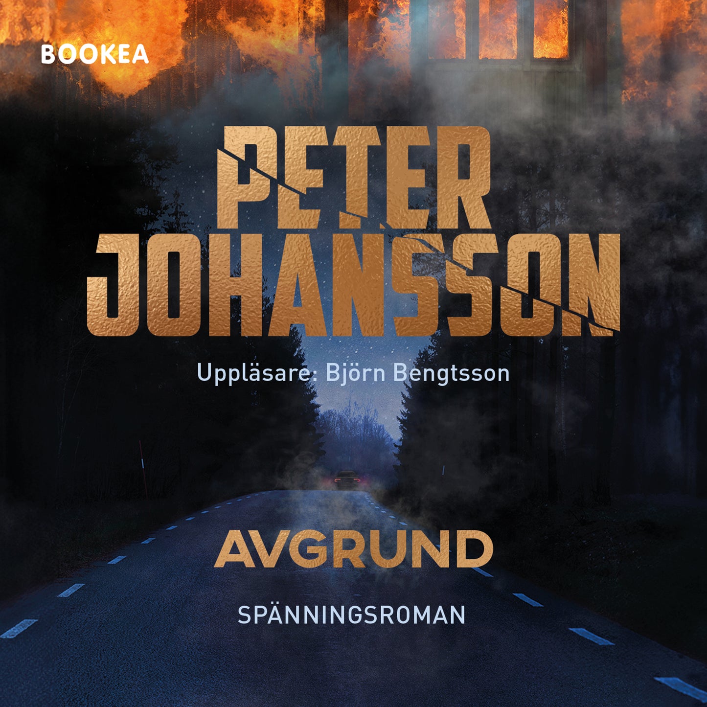 Avgrund – Ljudbok