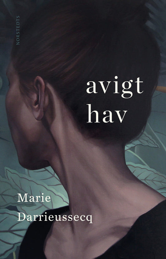 Avigt hav – E-bok