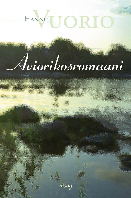 Aviorikosromaani – E-bok