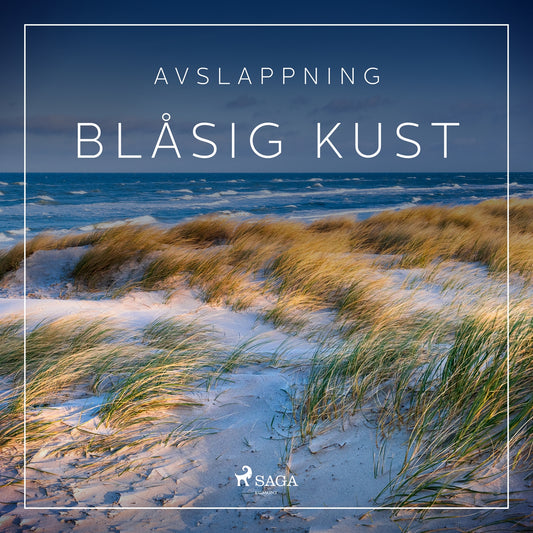 Avslappning - Blåsig kust – Ljudbok