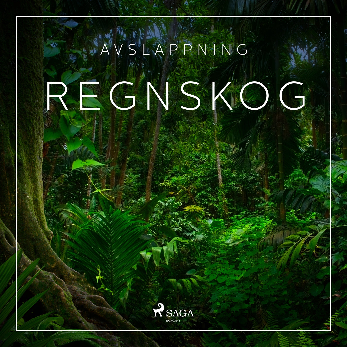 Avslappning - Regnskog – Ljudbok