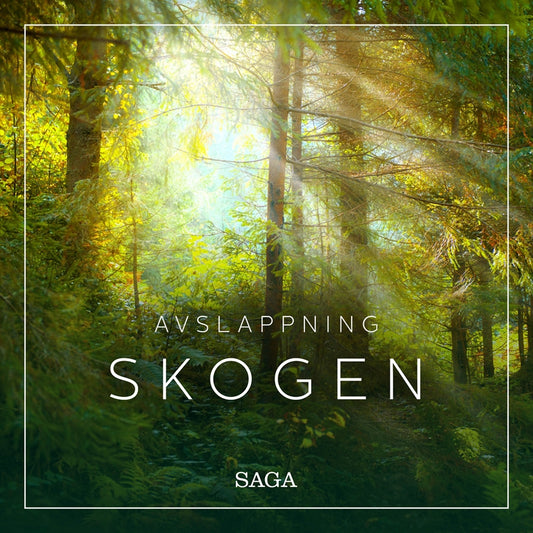 Avslappning - Skogen – Ljudbok