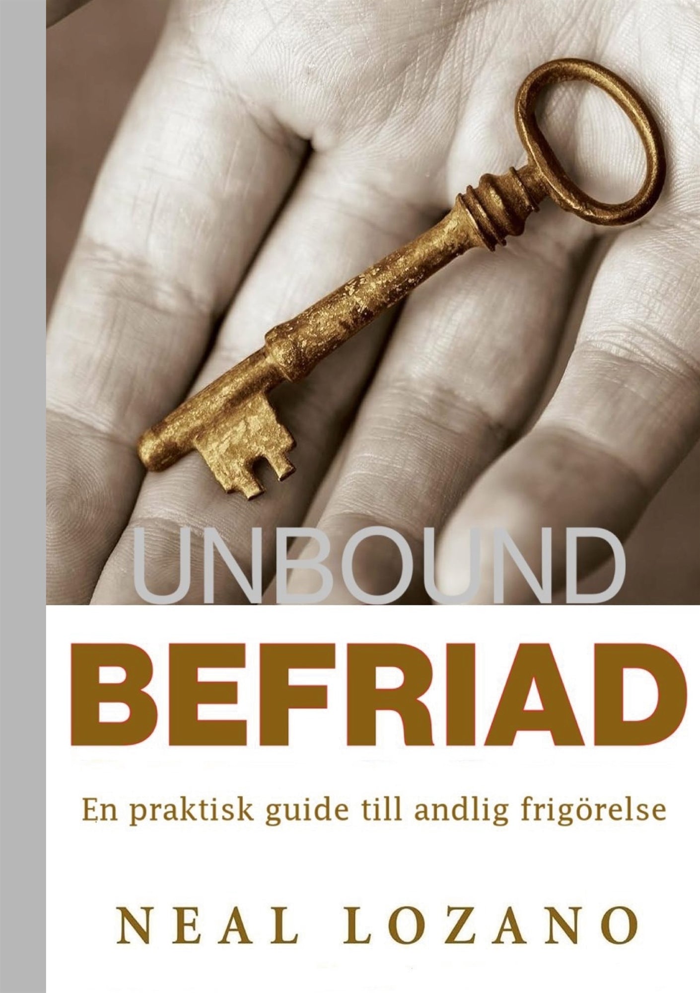 BEFRIAD: En praktisk guide till andlig frigörelse – E-bok