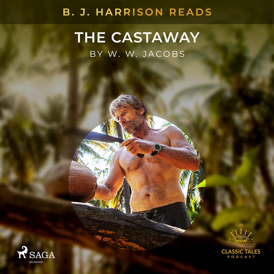 B. J. Harrison Reads The Castaway – Ljudbok