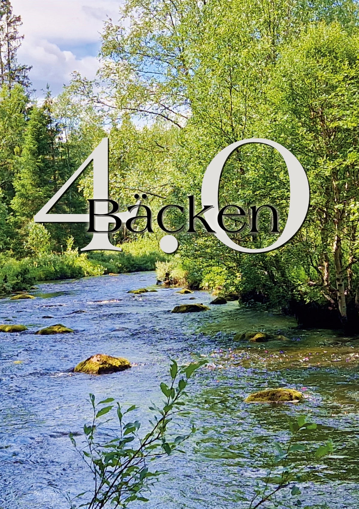 Bäcken 4.0 – E-bok