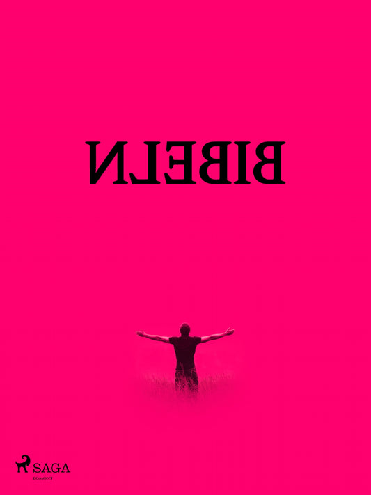 Baklängesbibeln – E-bok