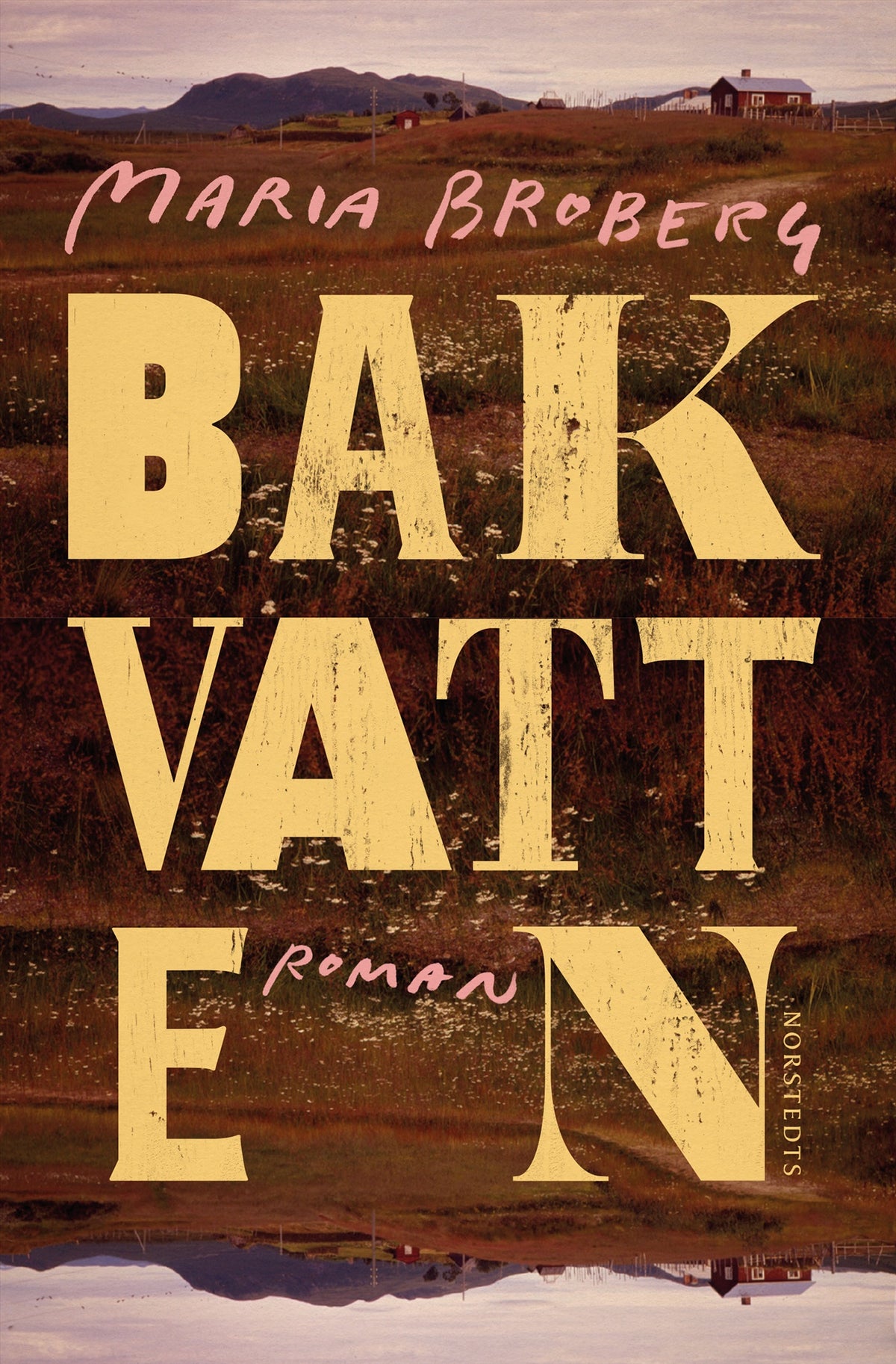 Bakvatten – E-bok