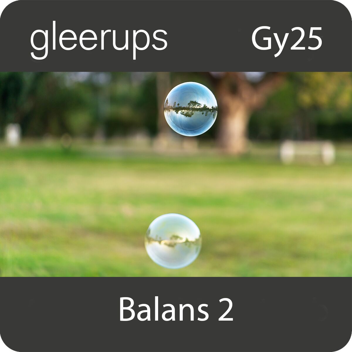 Balans 2, digitalt läromedel, elev, 12 mån, Gy25