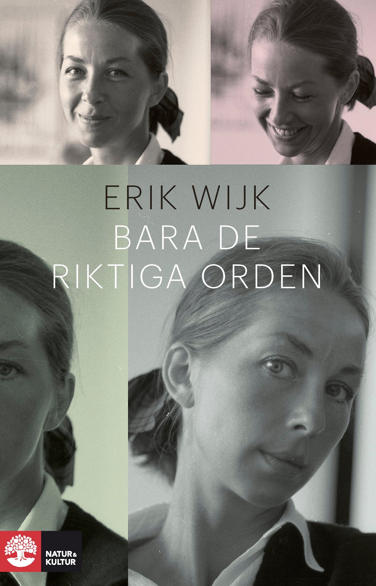 Bara de riktiga orden – E-bok