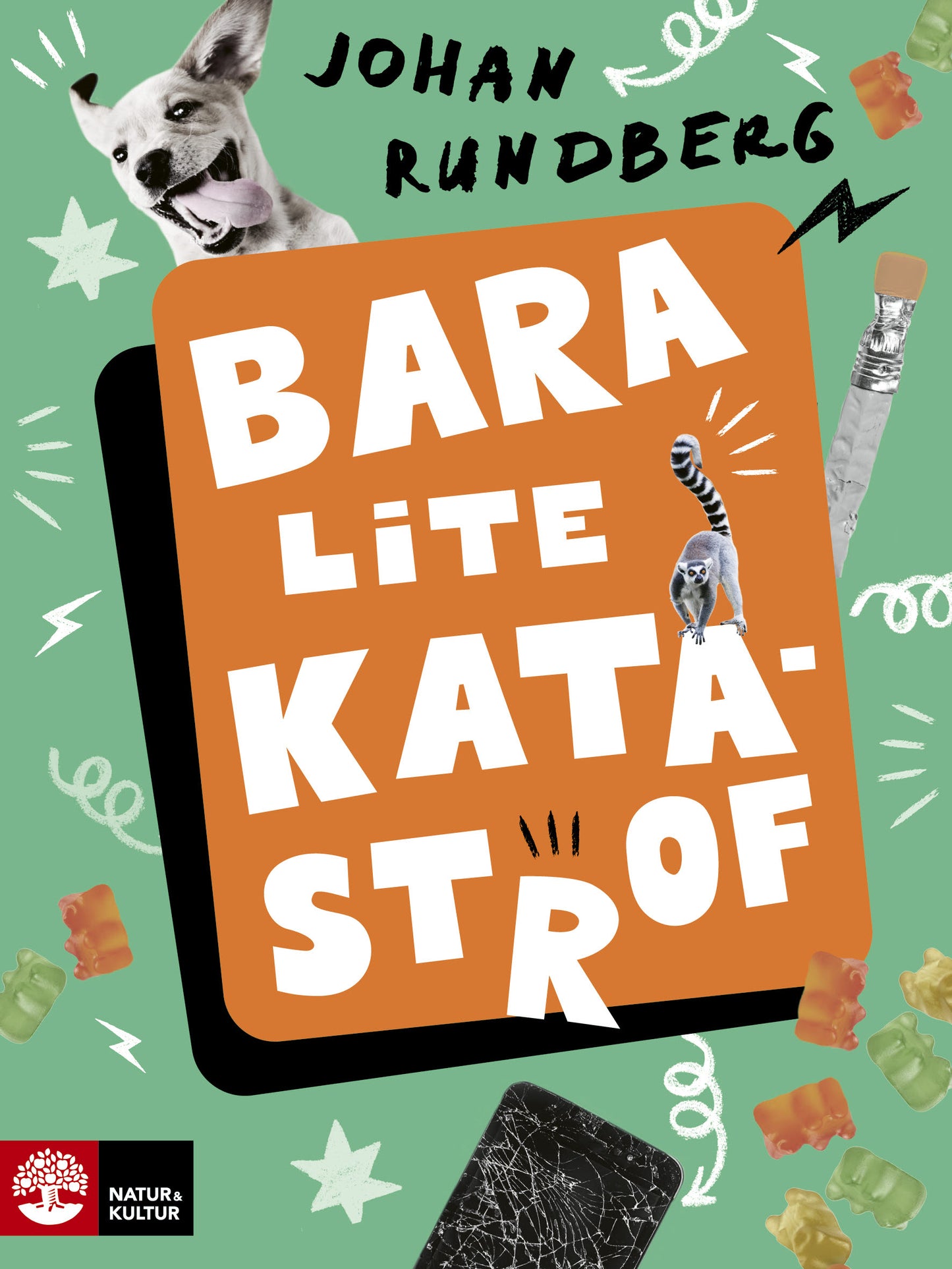 Bara lite katastrof – E-bok