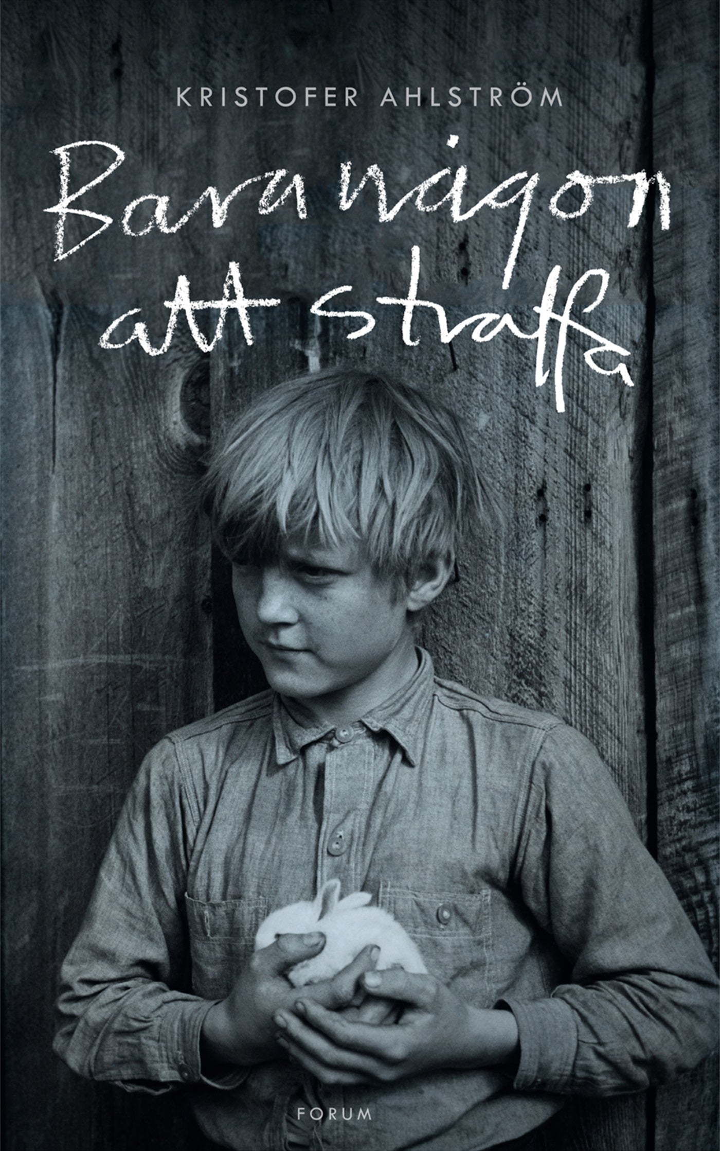 Bara någon att straffa – E-bok